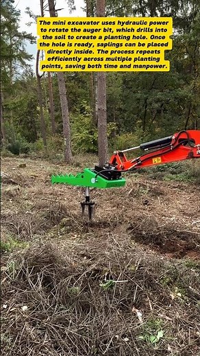 Tree Planting with Mini Excavator Support | Efficient Forest Reforestation Technology
