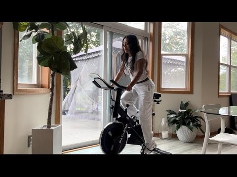 Silent Spin Bike for Weight Loss at Home - LX