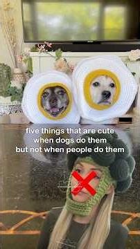 Five things that are cute when dogs do them but not when people do them 🚷 #dogshorts #crochet