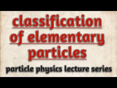 classification of elementary particles on the basis of spin and interaction//particle physics//notes