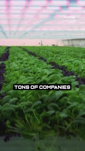 7.3K views · 205 reactions | Vertical Farming is taking agriculture to a whole new level!  Did you know that it employs cutting-edge LED technology to simulate the power of sunlight?  Embracing sustainability and innovation, Vertical Farming ensures year-round crops, conserves resources, and minimizes our carbon footprint. Credit | Freethink | Business Insider Africa | Facebook