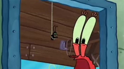 Eww spider bug🗣️🗣️🗣️