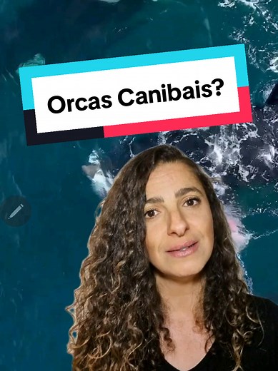 🇧🇷 Orcas canibais? Calma! 🐋 Na Rússia, pesquisadores encontraram duas nadadeiras dorsais de orcas com marcas de dentes de outras orcas. A hipótese levantada foi de possível predação entre ecótipos, talvez orcas Bigg’s atacando residentes. Mas o estudo, publicado em 2026, é apenas uma nota científica baseada em dois eventos isolados. O próprio artigo não confirma canibalismo e também considera que as orcas podem ter se alimentado da carcaça após a morte por outras causas. Ou seja, transformar 