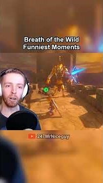 Breath of the Wild is a Silly Game