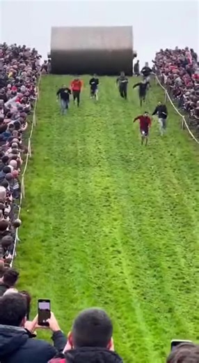 Unbelievable Crazy Moments That Will Make You Laugh