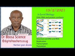 A-level biology lesson 75: DNA, RNA and protein synthesis