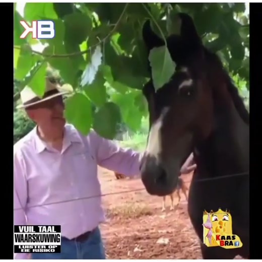 Morne Coetzee (@morne.coetzee0)’s videos with original sound - Morne Coetzee