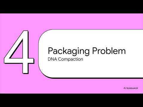 The Story of DNA, DNA compaction, PCR