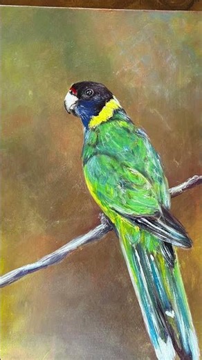 Weekly tour🤍🎨 #daily #ballet #art #women #dance #beauty #sketch #ballerina #calmmusic #calm #draw