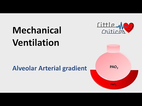 Alveolar arterial gradient | A-a O2 Gradient