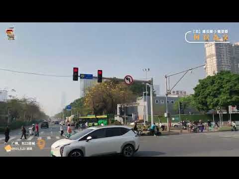 【美】迈克尔·J·戴蒙德《何以为父》