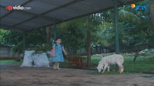 Elif yang ketakutan bersembunyi di antara karung sampah, ditemukan oleh Kenan! #ElifIndonesia | SCTV