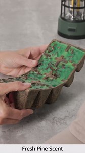 Northern Lights Candles Fresh Cut Pine Firestarters, 10 Count