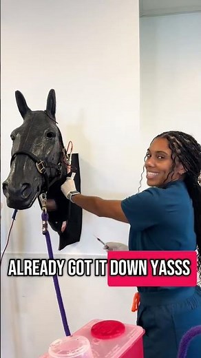 How Ross Vet Students Build Clinical Skills Early On | Essential Veterinary Skills (EVS) Lab