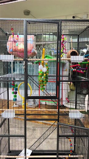 Unbelievable Bird Cage Transformation You Must See!