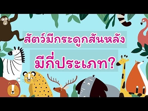 สัตว์ที่มีกระดูกสันหลัง มีกี่ประเภท? - วิทยาศาสตร์รอบตัว