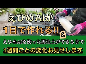 It can be done in one day! How to make Ehime AI & transform used soil into the best soil! Changes...