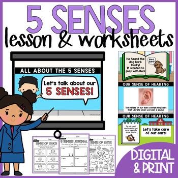 My Five Senses Lesson and 5 Senses Worksheet SET Kindergarten Science