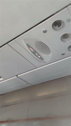 what happened 😬do you see what I see?😅沖縄旅行 #shortvideo