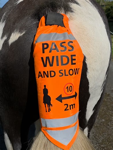 Essential Gear for Real Horse Riding Adventures