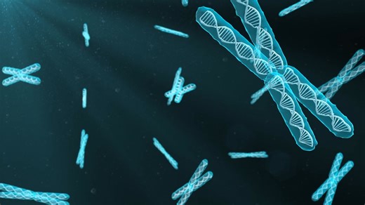 Angelman syndrome is a rare neurodevelopmental disorder caused by the loss of a gene called UBE3A on the mother’s copy of chromosome 15. It affects people of all races and ethnicities and often appears in infancy through feeding difficulties, delayed motor skills, and limited speech development. Individuals with Angelman syndrome experience complex challenges, including seizures and sleep disruptions, yet many also show a deep connection with those around them - smiling, laughing and maintaining