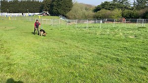 6.8K views · 172 reactions | Denise Holland and her GSD first time introducing the article on the track great job Denise & Teddy ❤️❤️ | K9 Training Services: Dog Training Centre of Excellence | Facebook