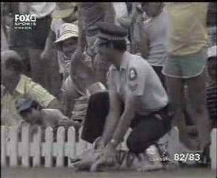 Fox stops play during The Hundred: 7 instances when animals invaded a cricket field India