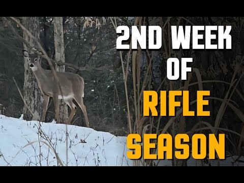 2ND WEEK OF DEER CAMP 2025