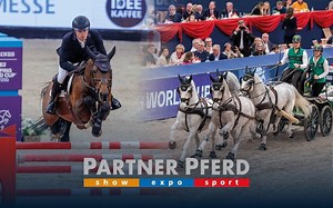 PARTNER PFERD CUP Einlaufprüfung - Partner Pferd Leipzig - FEI World Cup™ Jumping-Driving 2024-2025 I WEL - 2025 | Videos, Live Streams, Films and Shows | ClipMyHorse.TV