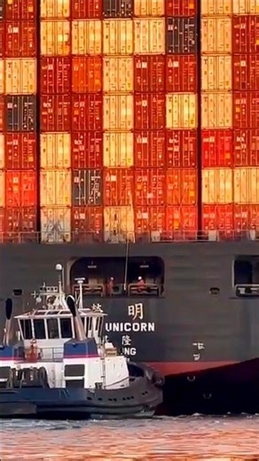 Tugboats Assist Giant Ship in Los Angeles Harbor 🇺🇸🚢 #shorts #containership #tiktok #ships #viral
