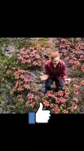 Amazing clip🎥🍿 | Movie tone