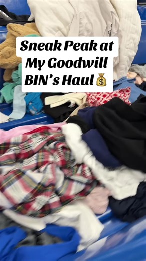 Sneak Peak at my Small Goodwill Outlets Haul Today 🤗 #goodwilloutlet #goodwillfinds #goodwillhaul #reselling #resellerlife