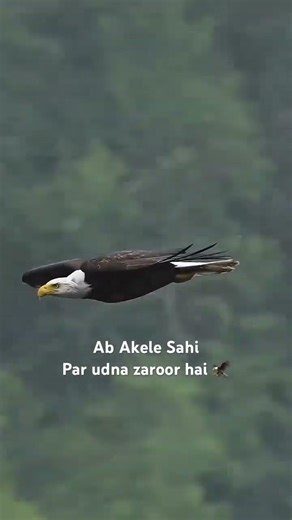 Ganga kinare #music #viral | #whatsappstatus 💫😌