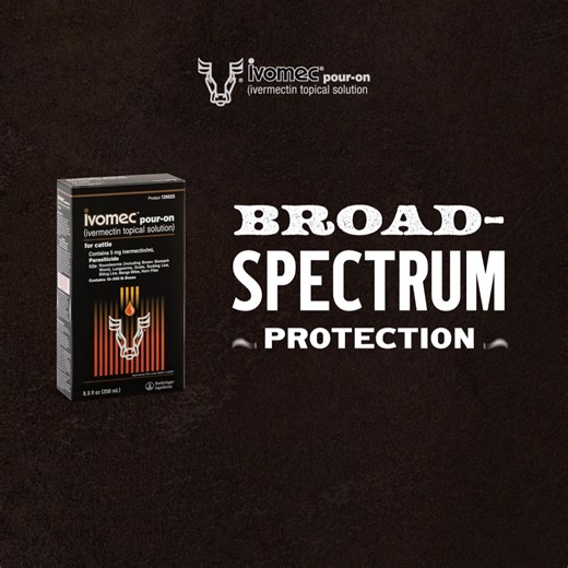 Parasite control that’s been improving performance and helping your cattle stay on top for four decades. That’s not luck, it’s a legacy. | Boehringer Ingelheim Cattle Health