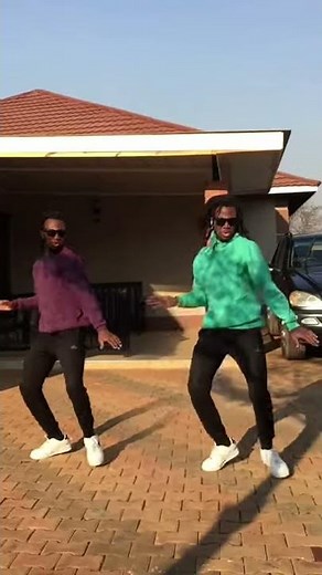 WAP Dance Challenge | Cardi B - WAP feat. Megan Thee Stallion