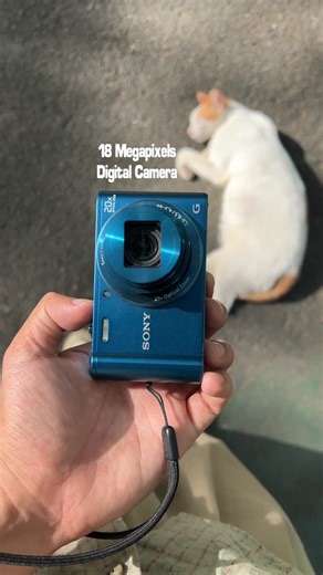 @filmniscate on Instagram: "SOOC sample photos of 📸Sony Cybershot DSC-WX300 (18 Megapixels) #filmniscate♾️ #digitalcamera #sonycybershotdscwx300 #sonydscwx300"