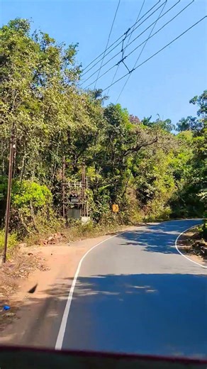 Nature Road, wait for the end. #nature #yt #shorts #roadtripideas