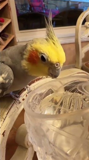 Unbreakable Habit: The Lip Smacking Secret When Drinking Water! LipSmacking WaterDrinking