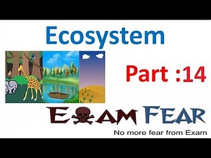 Lindemann law, Standing Crop - Ecosystem, Biology, Class 12 Video Lecture