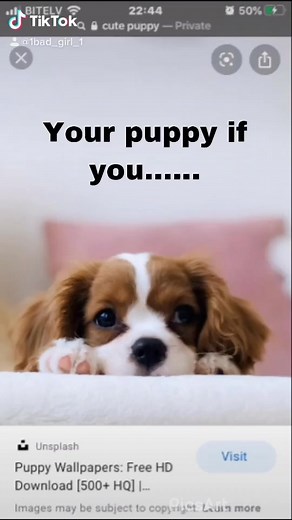 I have the like one❤️