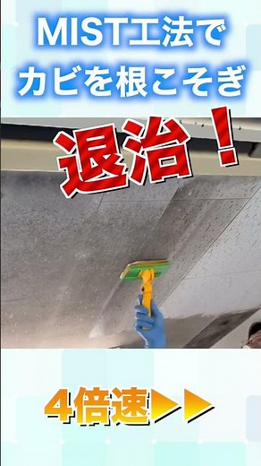 【石膏ボード・天井】真っ黒なカビだらけのジプトーンのカビ取り【学校・病院・老人ホーム】#shorts #カビ取り #除カビ #カビ対策 #カビ問題