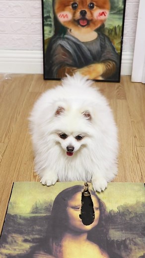 Magical Surprise with Nico the Puppy!