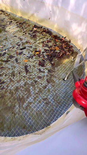 Taking Down an Above Ground Pool and Garden Tidy Up with Flymo PowerVac 3000