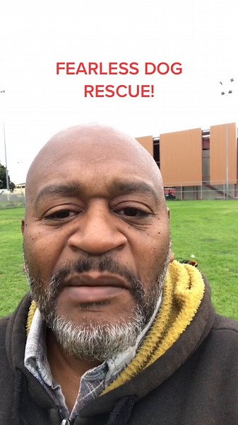 Fearless Dog Rescue: Saving Dogs with True Comedy