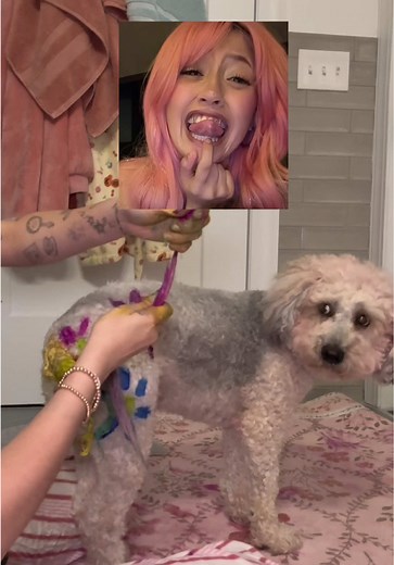 Dyeing My Dog's Hair Transformation