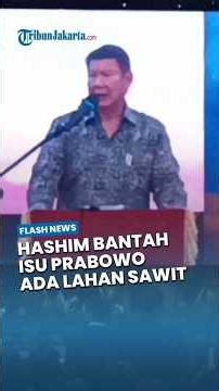 Hashim Bantah Isu Prabowo Miliki Lahan Sawit di Sumatra: Itu Fitnah Koruptor Perusak Lingkungan