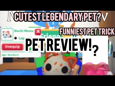 MOCHI MEOW PET REVIEW! (except ride or fly) 