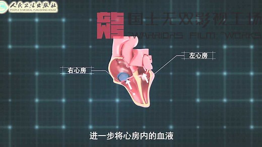 心脏跳动的动画+房、室间隔缺损示意图_高清1080P在线观看平台_腾讯视频