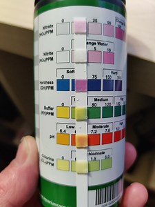 Test Strips GH Reading?