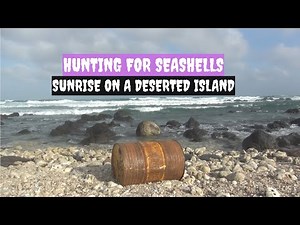 Hunting for seashells and watching the sunrise on the deserted island